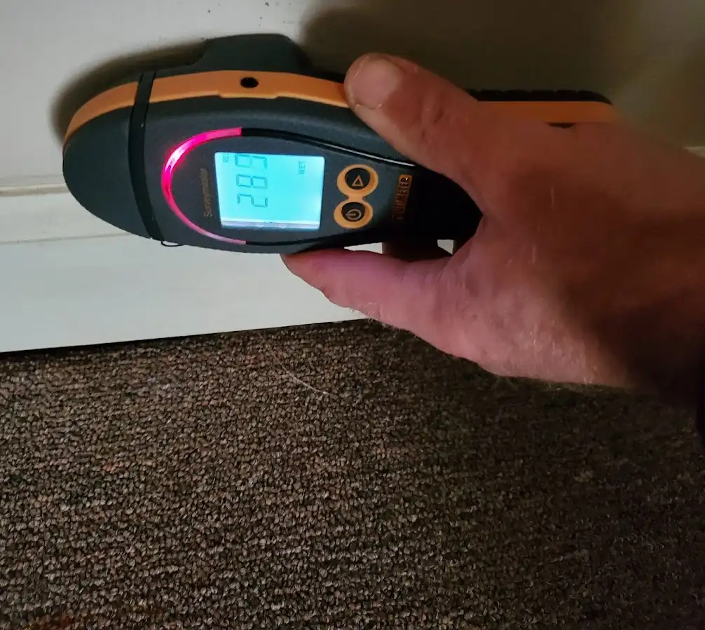Moisture detection at baseboard during Sewage Cleanup & Sanitation in Rusk
